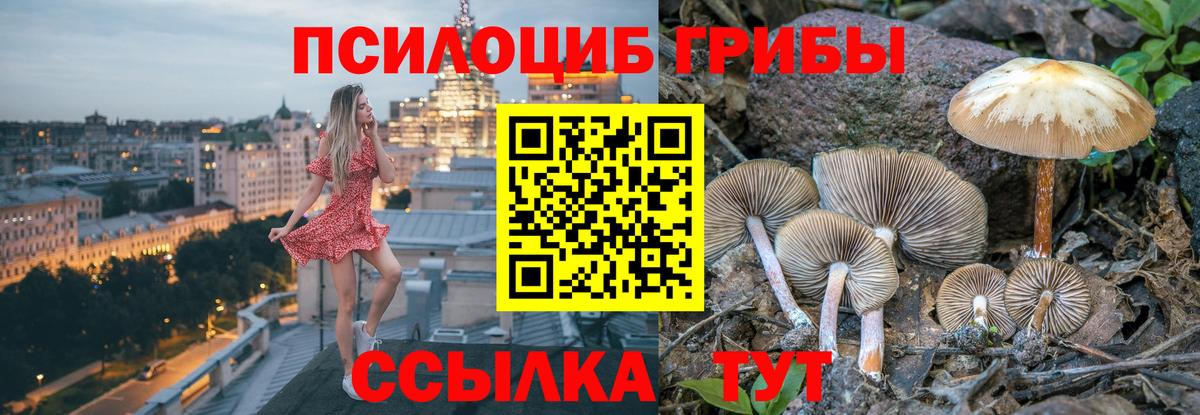 Псилоцибиновые грибы Magic Shrooms Мценск
